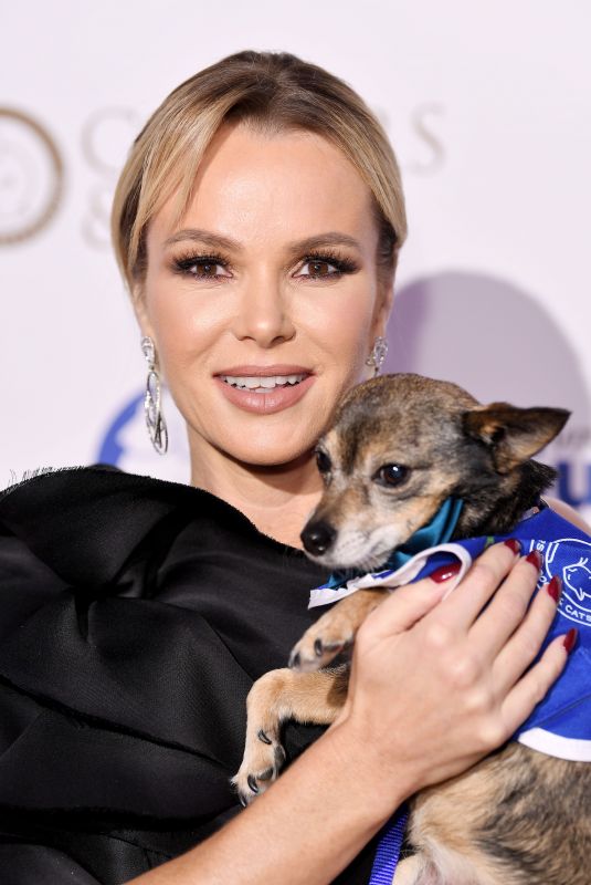 AMANDA HOLDEN at Collars & Coats Gala Ball in London 11/02/2017