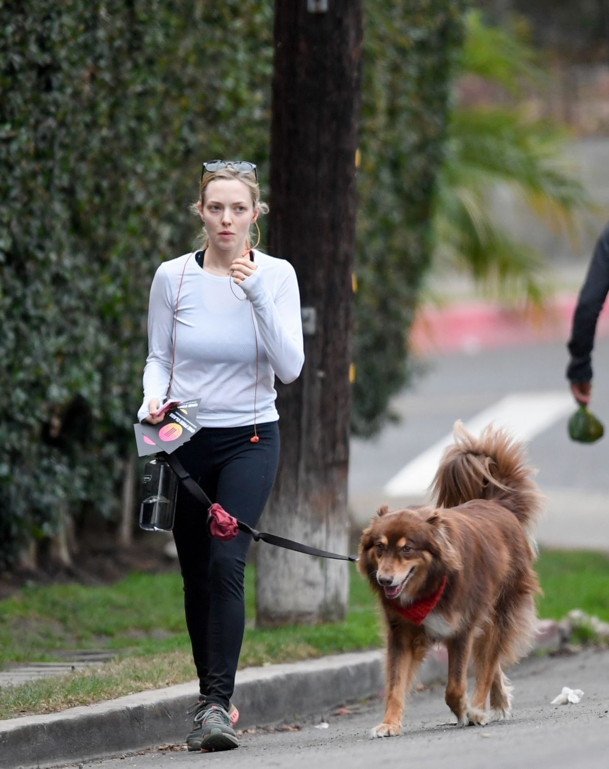 AMANDA SEYFRIED Out with Her Dog in West Hollywood 11/29/2017 – HawtCelebs