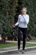 AMANDA SEYFRIED Out with Her Dog in West Hollywood 11/29/2017