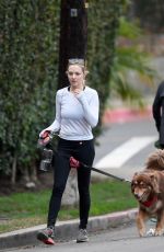 AMANDA SEYFRIED Out with Her Dog in West Hollywood 11/29/2017
