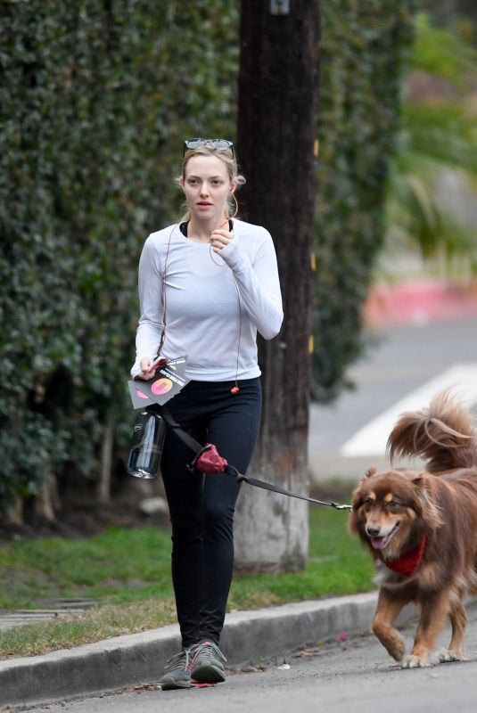 AMANDA SEYFRIED Out with Her Dog in West Hollywood 11/29/2017