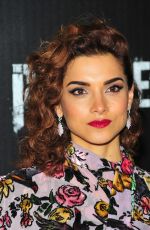 AMBER ROSE REVAH at The Punisher TV Show Premiere in New York 11/06/2017