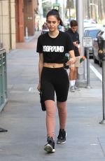 AMELIA GRAY HAMLIN in Tights Out in Beverly Hills 11/13/2017