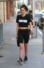 AMELIA GRAY HAMLIN in Tights Out in Beverly Hills 11/13/2017