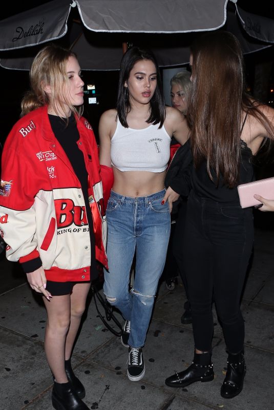 AMELIA HAMLIN at Delilah in West Hollywood 11/17/2017