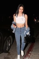 AMELIA HAMLIN Laves Poppy NNight Club in Los Angeles 11/09/2017