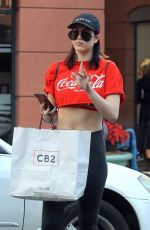 AMELIA HAMLIN Out and About in Beverly Hills 11/27/2017