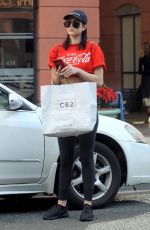 AMELIA HAMLIN Out and About in Beverly Hills 11/27/2017