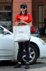 AMELIA HAMLIN Out and About in Beverly Hills 11/27/2017