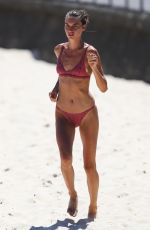 AVRIL ALEXANDER in Bikini at Bondi Beach 11/09/2017