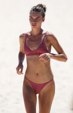 AVRIL ALEXANDER in Bikini at Bondi Beach 11/09/2017