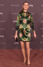 BEHATI PRINSLOO at 2017 LACMA Art + Film Gala in Los Angeles 11/04/2017