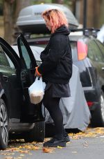 BILLIE PIPER Shows New Pink Hair Out in London 11/15/2017