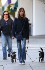 CALISTA FLOCKHART Walks Her Dog Out in Brentwood 11/14/2017