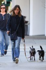 CALISTA FLOCKHART Walks Her Dog Out in Brentwood 11/14/2017
