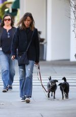 CALISTA FLOCKHART Walks Her Dog Out in Brentwood 11/14/2017