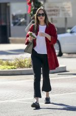 DAKOTA JOHNSON Out and About in Los Angeles 11/08/2017