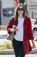 DAKOTA JOHNSON Out and About in Los Angeles 11/08/2017