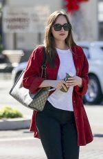 DAKOTA JOHNSON Out and About in Los Angeles 11/08/2017