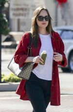 DAKOTA JOHNSON Out and About in Los Angeles 11/08/2017