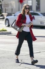 DAKOTA JOHNSON Out and About in Los Angeles 11/08/2017