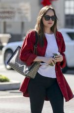 DAKOTA JOHNSON Out and About in Los Angeles 11/08/2017