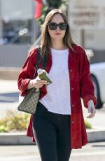 DAKOTA JOHNSON Out and About in Los Angeles 11/08/2017