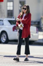 DAKOTA JOHNSON Out and About in Los Angeles 11/08/2017