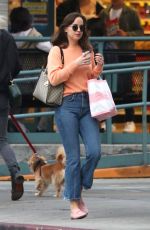 DAKOTA JOHNSON Out for Coffee Out in Los Angeles 11/12/2017