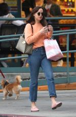 DAKOTA JOHNSON Out for Coffee Out in Los Angeles 11/12/2017