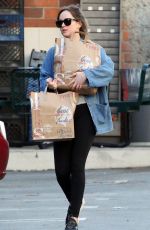 DAKOTA JOHNSON Out Shopping in Los Angeles 11/07/2017