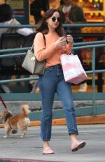 DAKOTA JOHSNON Shopping at Melrose Avenue in West Hollywood 11/12/2017