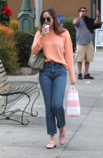 DAKOTA JOHSNON Shopping at Melrose Avenue in West Hollywood 11/12/2017