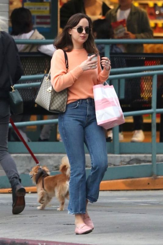 DAKOTA JOHSNON Shopping at Melrose Avenue in West Hollywood 11/12/2017