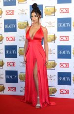 DEMI ROSE MAWBY at OK! Magazine Beauty Awards in London 11/28/2017