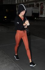 DEVON WINDSOR Out and About in New York 11/06/2017