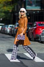 ELSA HOSK Out in New York 11/12/2017