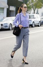 EMMY ROSSUM Out Shopping in Beverly Hills 11/08/2017