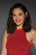 GAL GADTO for Associated Press, 2017