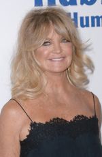 GOLDIE HAWN at Samsung Annual Charity Gala 2017 in New York 11/02/2017