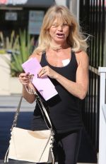 GOLDIE HAWN Out and About in Santa Monica 11/08/2017