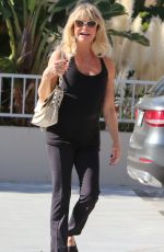 GOLDIE HAWN Out and About in Santa Monica 11/08/2017