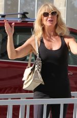 GOLDIE HAWN Out and About in Santa Monica 11/08/2017