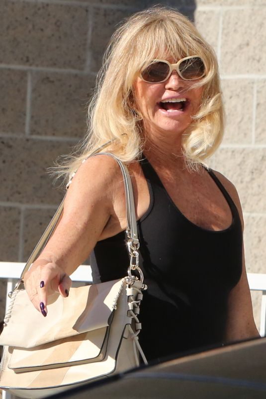 GOLDIE HAWN Out and About in Santa Monica 11/08/2017
