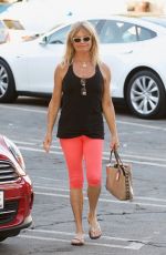 GOLDIE HAWN Out Shopping in Brentwood 11/22/2017