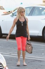 GOLDIE HAWN Out Shopping in Brentwood 11/22/2017