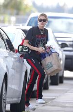 HAILEY BALDWIN Arrives in Miami on a Private Plane 11/24/2017