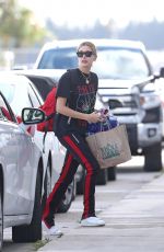 HAILEY BALDWIN Arrives in Miami on a Private Plane 11/24/2017