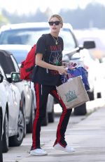 HAILEY BALDWIN Arrives in Miami on a Private Plane 11/24/2017