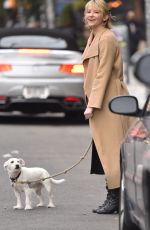HALEY BENNETT Out with Her Dog in New York 11/01/2017